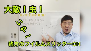 職人社長が教える‼️場所特定方法！虫バージョン‼️