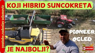 KOJI HIBRID SUNCOKRETA U PIONIROVOM OGLEDU JE NAJBOLJI? ; WHICH SUNFLOWER HYBRID IS THE BEST?