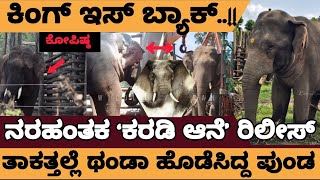 ನರಹಂತಕ ಕರಡಿ ಆನೆ ಕೊನೆಗೂ ರಿಲೀಸ್‌..! ಬಬ್ರುವಾಹನನಾಗಿ ಬದಲಾದ ಕರಡಿ..! -Karadi elephant release live news