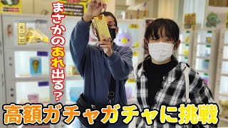 新年の運試しチェック？千円ガチャガチャで運試しするおもしろルーティン