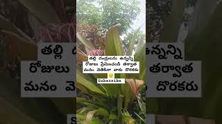 అమ్మ#నాన్న#💜💜share#subscribe