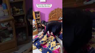 বাচ্চার মায়েদের সারা দিন এভাবেই কাটছে!! 😇😆#viralvideo #funny