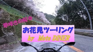 ２０２４年お花見ツーリング　by　MotoDINER　　　　　　　　　　　　　　　　　　　フォロワーさんに沢山会えました(^O^)／