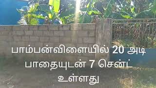 பாம்பன்விளையில் 7 சென்ட் இடம் விற்பனைக்கு உள்ளது | LAND FOR SALE 7 CENT IN PAMBANVILAI.