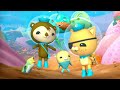 octonauts 👨 sauvetages de papa ⛑️ compilation dessins animés pour enfants