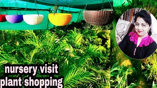 Nursery tour in Rajasthan | plant shopping | nursery tour in Hindi | plant nursery visit