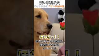 犬のおもしろ動画にツッコミどころ満載なアフレコしてみた＃190【手品】【ハプニング映像】#shorts　#アフレコ #面白動画