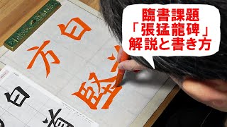 日本習字漢字部令和6年1月号臨書課題・張猛龍碑「白首にして方に堅し」