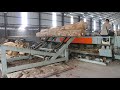 How To Make Plywood Complete Plywood Production Line #plywoodmachine #woodworkingmachine