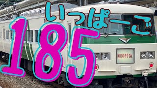 臨時特急❗️いっぱーご‼️急遽決定‼️臨時列車情報は時刻表に載ってない‼️横浜〜伊東ノンストップ‼️185❗️輪鉄