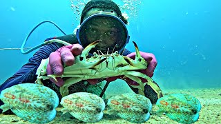 Our 6 hour diving day caught squid and fish in the ocean