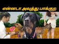 😁 உன் ஆளு கொத்திக்கிட்டு போயிடுவா😁#animalmindvoice #trendingvideo #shortvideo #viralvideo