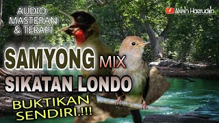 SAMYONG GACOR MIX SIKATAN LONDO  GACOR AUDIO MASTERAN & TERAPI MURAI BATU