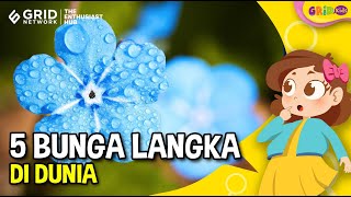 Top 5 Bunga Langka di Dunia Ada yang Hidup di Indonesia