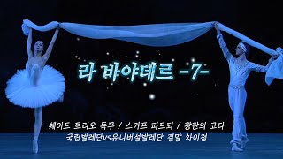 발레공연 보다가 소름 돋았네😇 라바야데르 3막(2) -완결-