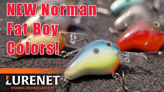 Norman Lures Releases NEW Fat Boy Color Line-up