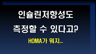 인슐린저항성의 측정방법 - HOMA