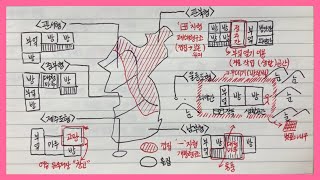 [한국지리]【66】 기후와 전통 가옥구조(3단원 기후 환경과 인간생활)ㅣ한국지리 강의ㅣ한국지리 노트필기ㅣ한국지리 개념ㅣ한국지리 공부