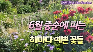 6월 중순에 피는 다년생 꽃들과 정원