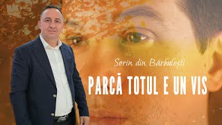 Sorin din Barbulesti - PARCA TOTUL E UN VIS ❤️‍🩹