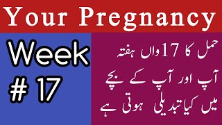 17th Week Of Pregnancy || 17 Week Pregnant || Hamal Ka 17 Hafta ||