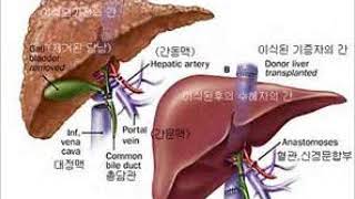 이영두, \