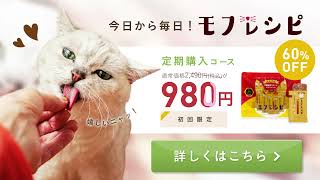 猫用おやつサプリ「モフレシピ」新発売！