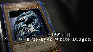 『青眼の白龍』をシクで立体に3Dart of Blue-Eyes White Dragon