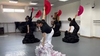 Accademia de Baile Flamenco de Jerez