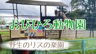 【帯広市】開園60周年のおびひろ動物園　園内の動物たちを紹介