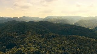 Best Nature Drone Views 🥀|| Drone View || Nature status Video || 🌾