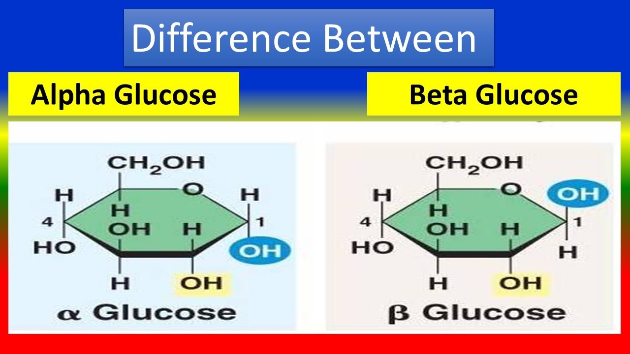 Difference Between Alpha And Beta Glucose Definition Vrogue Co Difference Between Alpha And Beta Glucose Definition Vrogue Co