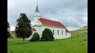 Nicasio Valley in the Rain - part 2