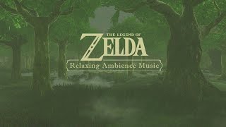 Peaceful solitude while it's raining. (Zelda ambience music \u0026 rain )