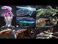 ALL LEVIATHAN and DEADLY CREATURE in SUBNAUTICA