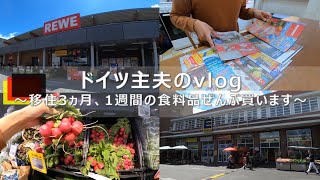 [vlog]ドイツ移住3ヵ月の主夫がスーパー2店舗をはしご。海外の買い物風景味わえます