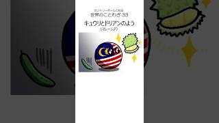 #カントリーボール と知る 世界のことわざ 33 #ポーランドボール #polandball