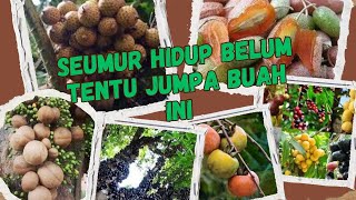 Wow “! Inilah 5 buah langka yang jarang orang tahu