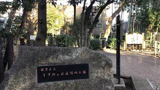 目黒区のすずめのお宿緑地公園