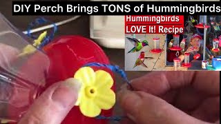 Dollar Store Hummingbird Feeder EASY How to Make a Perch to Attract Hummingbirds \u0026 DIY Nectar Recipe