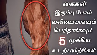 HOW TO INCREASE HAND POWER | HOW TO GET HAND POWER IN TAMIL | HAND POWER WORKOUT IN TAMIL | MUSCLES