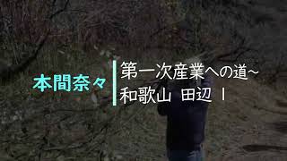 和歌山県田辺市にて～本間奈々「第一次産業への道」１