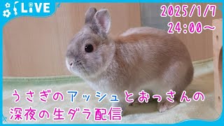 【雑談・うさぎ】うさぎのアッシュとおっさんの深夜の生ダラ配信　2025/1/7