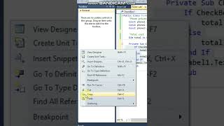 How to use CheckBox in VB.Net