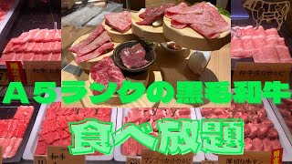 Ａ５ランクの和牛食べ放題！平城苑肉屋横丁秋葉原店！神コスパ！