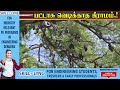 20 ஆண்டுகளாக பட்டாசு வெடிக்காத கிராமம்.. பறவைகளை நேசிக்கும் பாசக்கார மக்கள்..