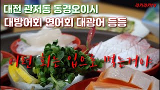 대방어 연어 대광어 제철생선회  대전맛집 관저동 동경오이시 퓨전일식