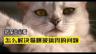 怎么解决猫咪软便拉稀，玻璃胃的问题？