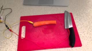 Makey Makey Screaming Carrot