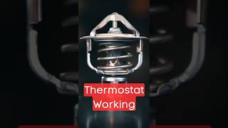 How a Thermostat Valve Works. #carrepair #mechanical #mechanic #automobile